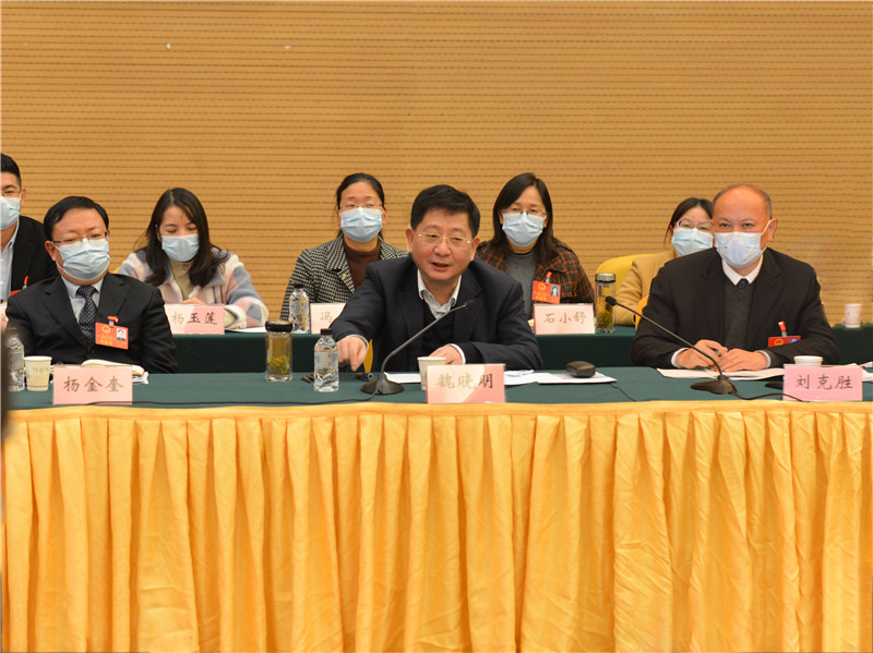 1月20日下午，魏书记到宿松代表团参加审议1.jpg