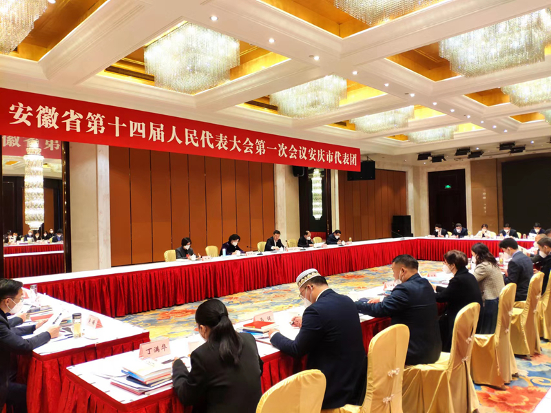 省十四届人大一次会议安庆代表团召开全体代表会议