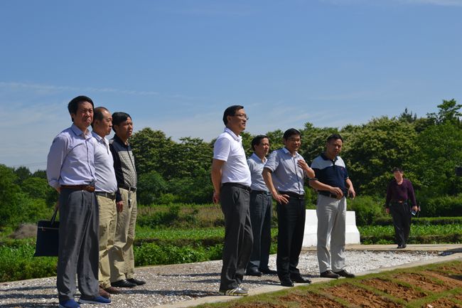 月 日,宿松县人大常委会副主任石锦华率农工委调研组先后到河塌